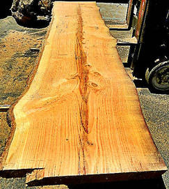 Douglas Fir